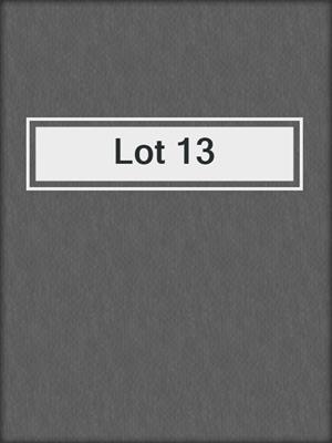 cover image of Lot 13