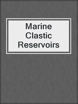 Marine Clastic Reservoirs