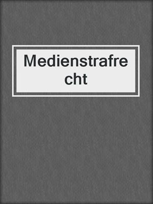 Medienstrafrecht