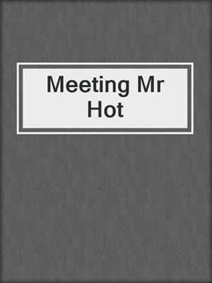 cover image of Meeting Mr Hot