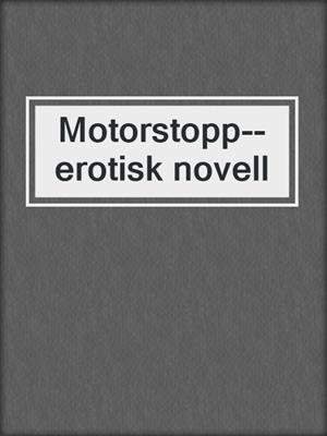 cover image of Motorstopp--erotisk novell