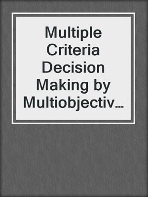 Multiple Criteria Decision Making by Multiobjective Optimization