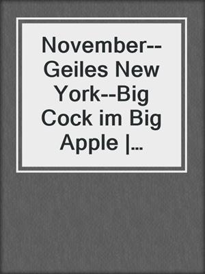 cover image of November--Geiles New York--Big Cock im Big Apple | Erotische Urlaubsgeschichte