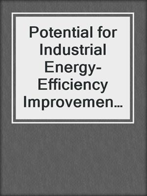 Potential for Industrial Energy-Efficiency Improvement in the Long Term