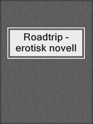 Roadtrip – erotisk novell