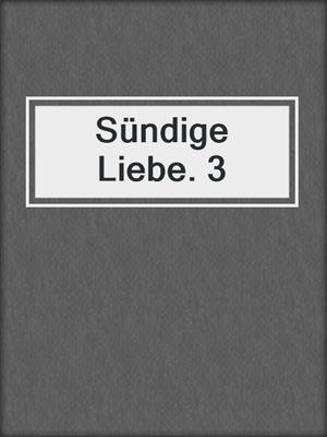 cover image of Sündige Liebe. 3