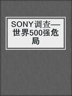SONY调查——世界500强危局