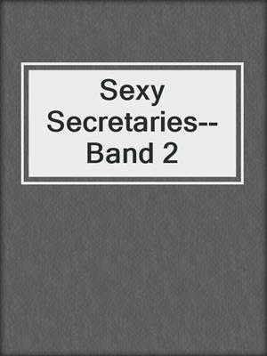cover image of Sexy Secretaries-- Band 2
