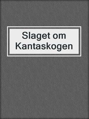 cover image of Slaget om Kantaskogen