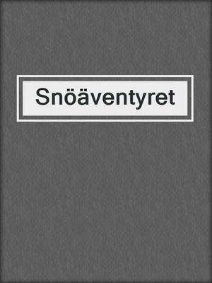 cover image of Snöäventyret