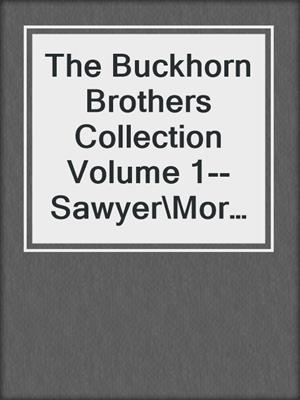 cover image of The Buckhorn Brothers Collection Volume 1--Sawyer\Morgan\Gabe\Jordan\Casey