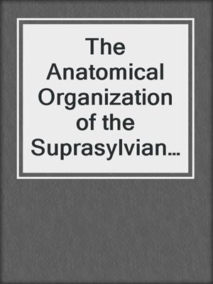 The Anatomical Organization of the Suprasylvian Gyrus of the Cat