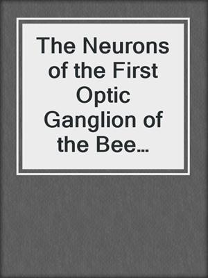 The Neurons of the First Optic Ganglion of the Bee (Apis mellifera)