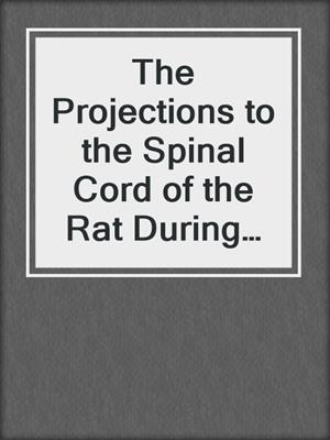 The Projections to the Spinal Cord of the Rat During Development