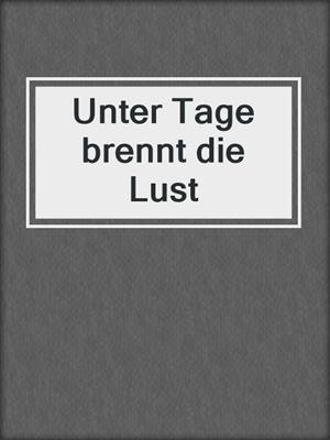 cover image of Unter Tage brennt die Lust