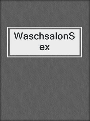 cover image of WaschsalonSex