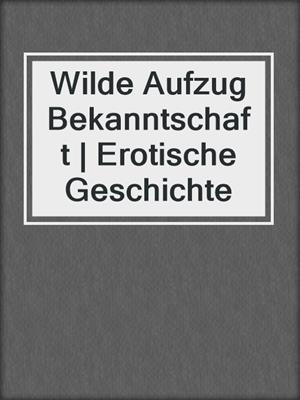 cover image of Wilde Aufzug Bekanntschaft | Erotische Geschichte