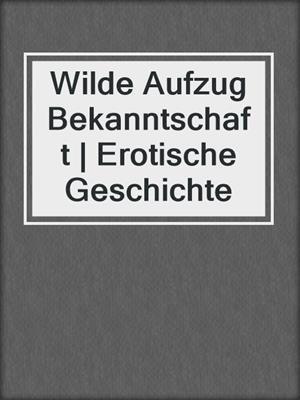 cover image of Wilde Aufzug Bekanntschaft | Erotische Geschichte