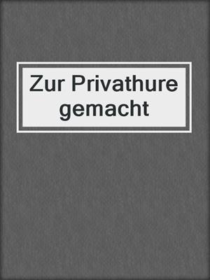 cover image of Zur Privathure gemacht